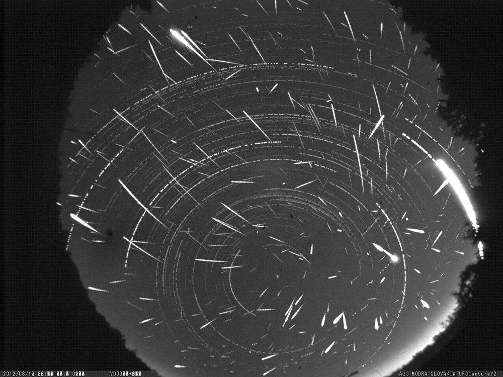 WhatsApp Image 2024-08-13 at 12.57.15