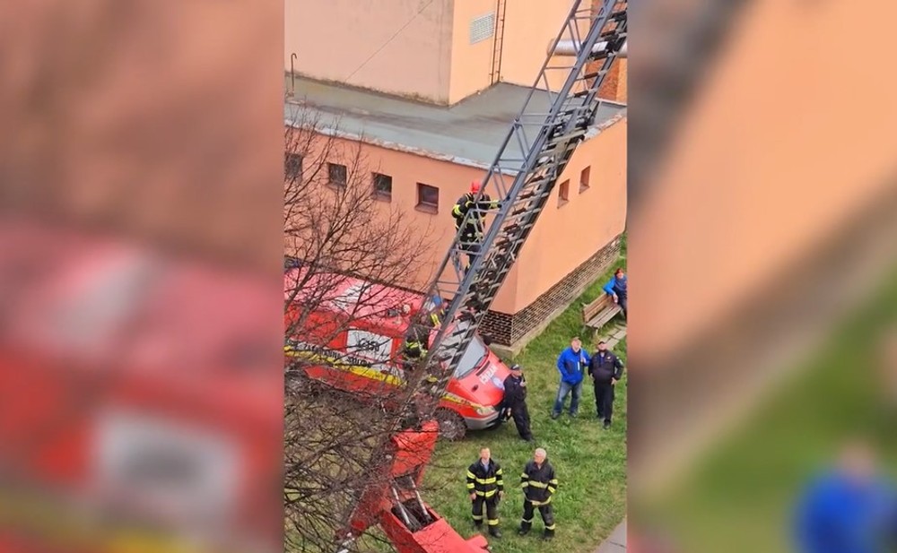 v byte našli mŕtvu ženu (4)