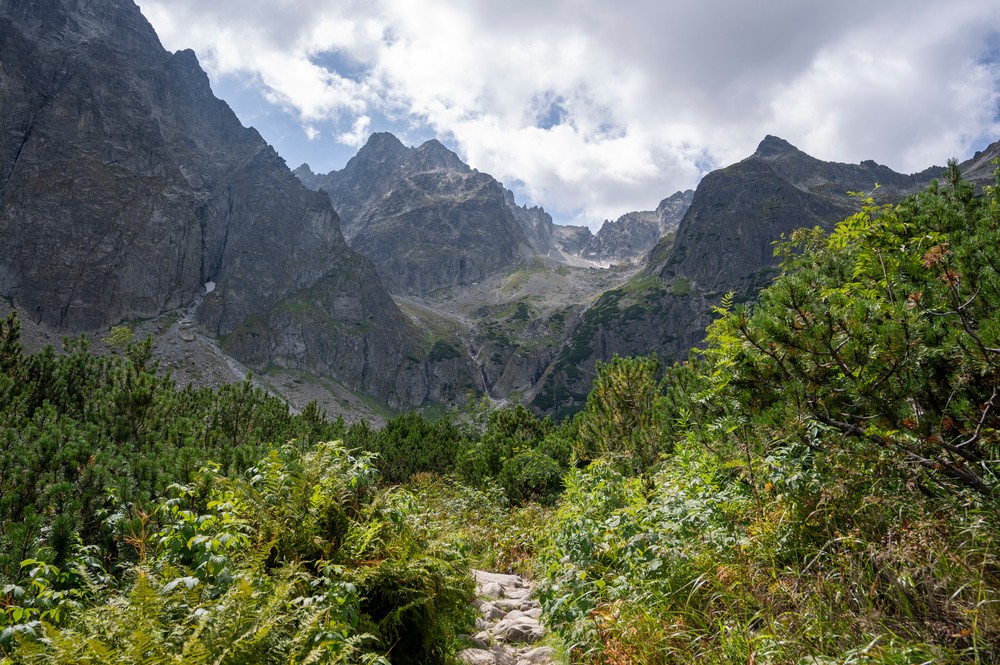 Vysoké Tatry