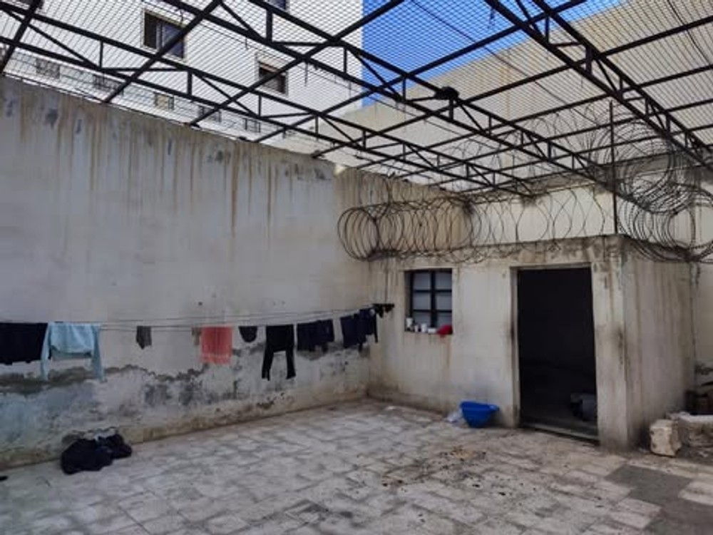 syria vazenie pas 12