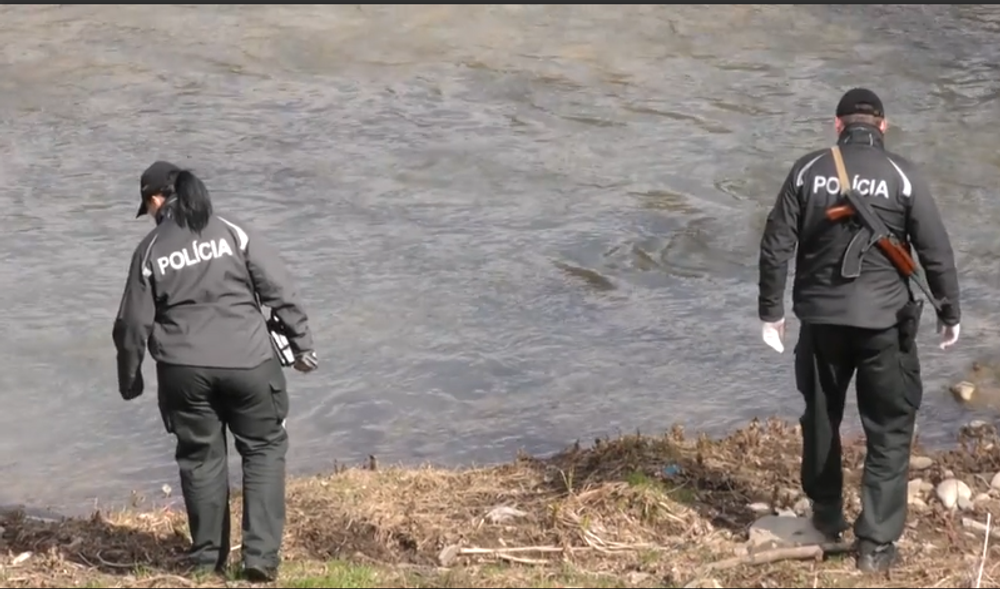 Screenshot 2024-04-10 150825