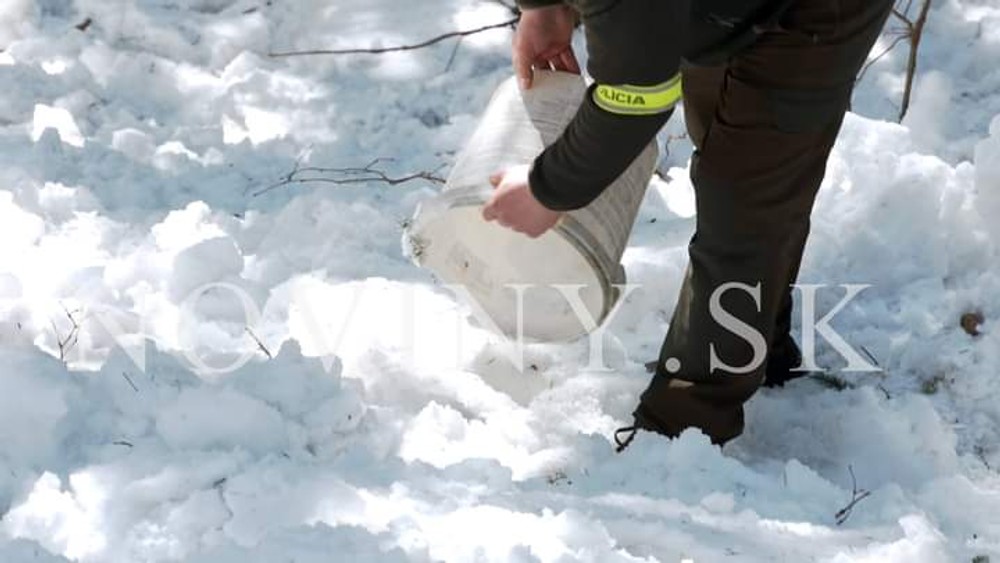 WhatsApp Image 2023-01-18 at 11.18.15 (2)