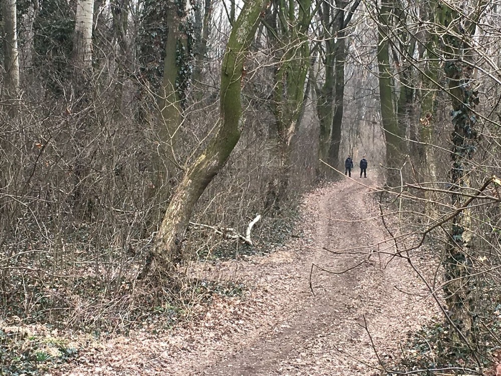 Polícia prehľadáva lev vo Veľkej Mači 