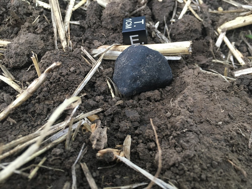 307995359_1520671088387081_1419563988052216190_n