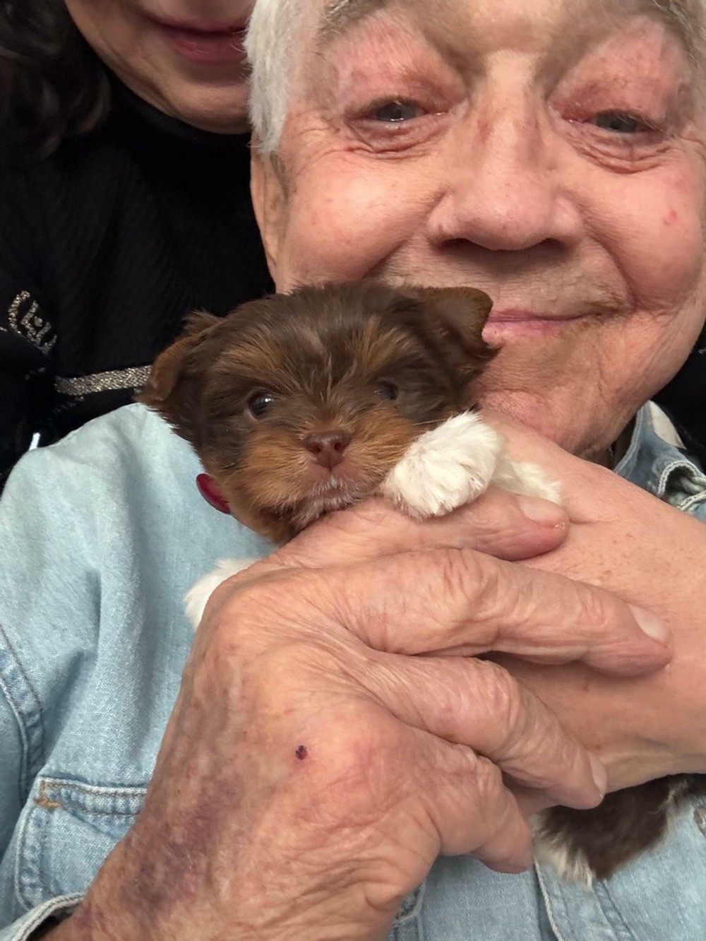 Krampol so šteniatkom