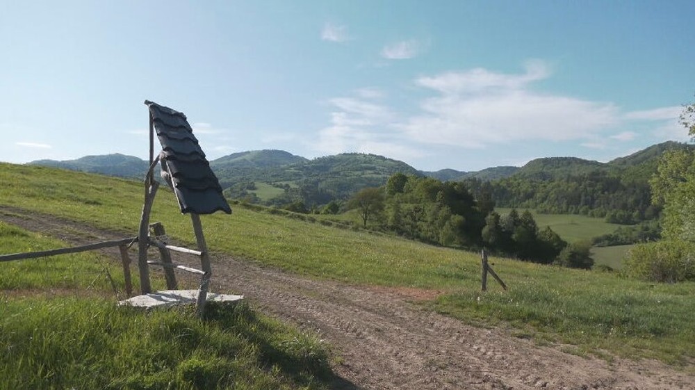 Hubára napadol medveď (3)