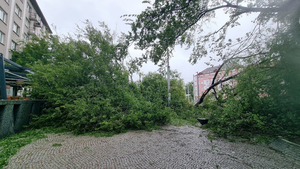 WhatsApp Image 2024-09-15 at 16.02.42