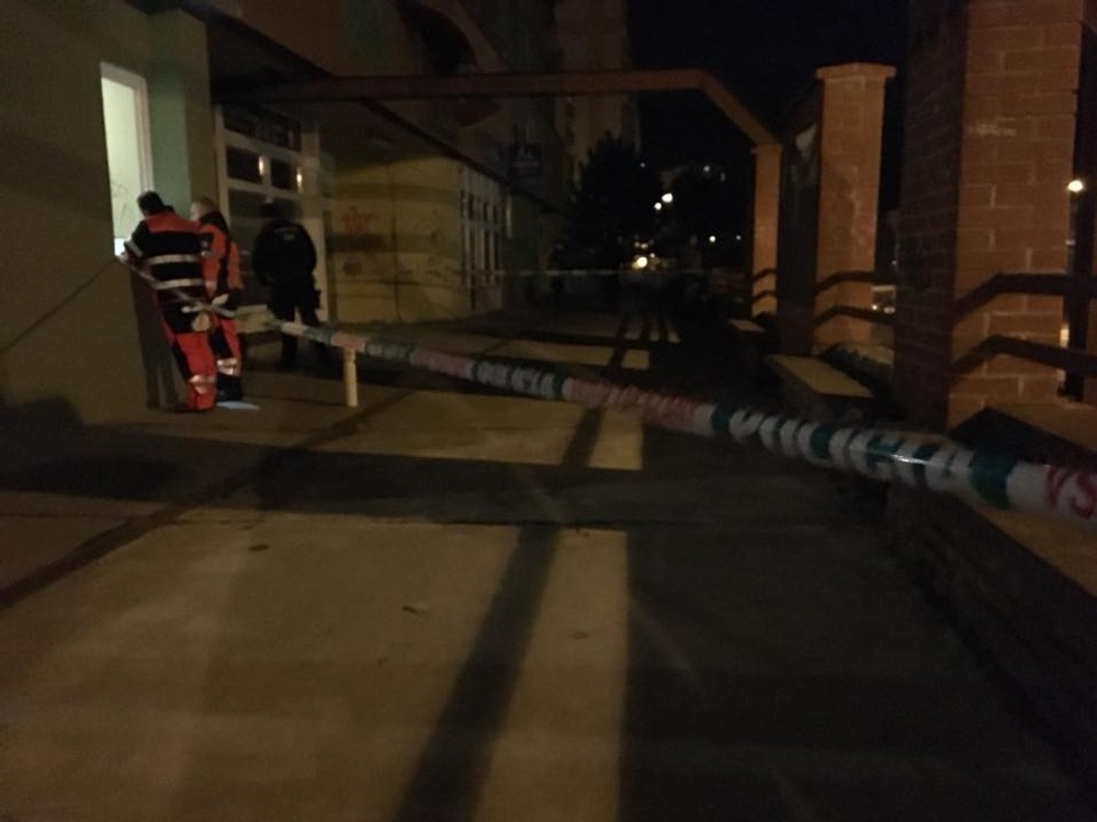 Streľba v Devínskej