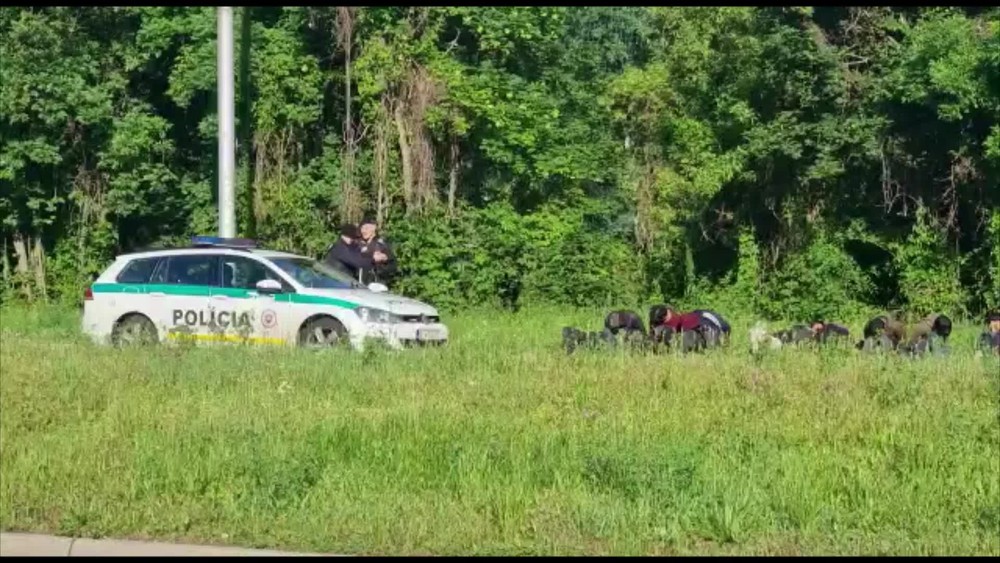 [multi] afganci. 7031