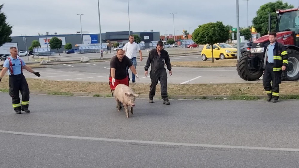 [multi] Prevrátený kamión 2185