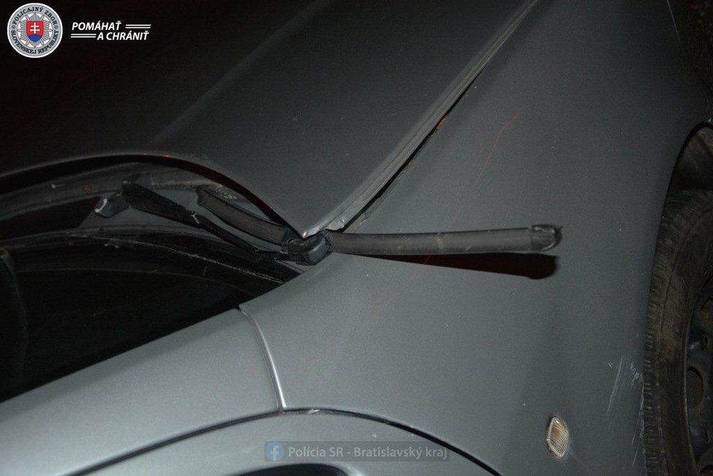 322174056_858123178670936_6781676327353418023_n