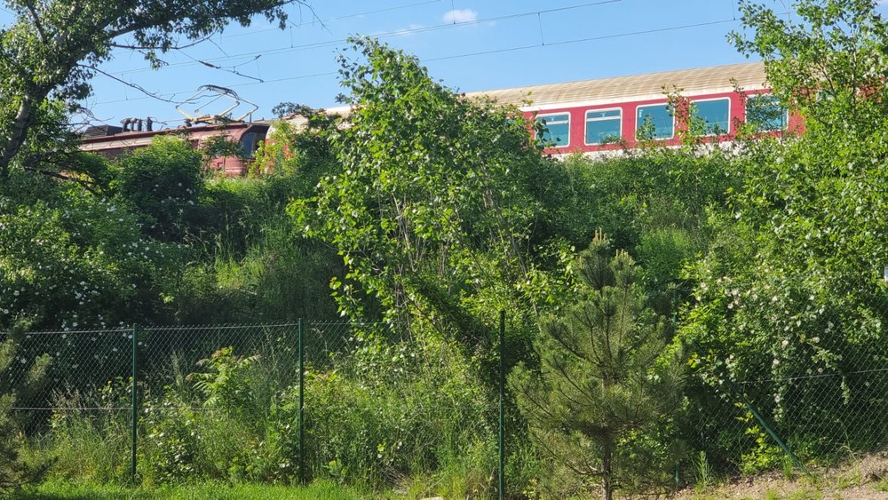 Tragická zrážka dvoch dievčat v Devínskej Novej Vsi