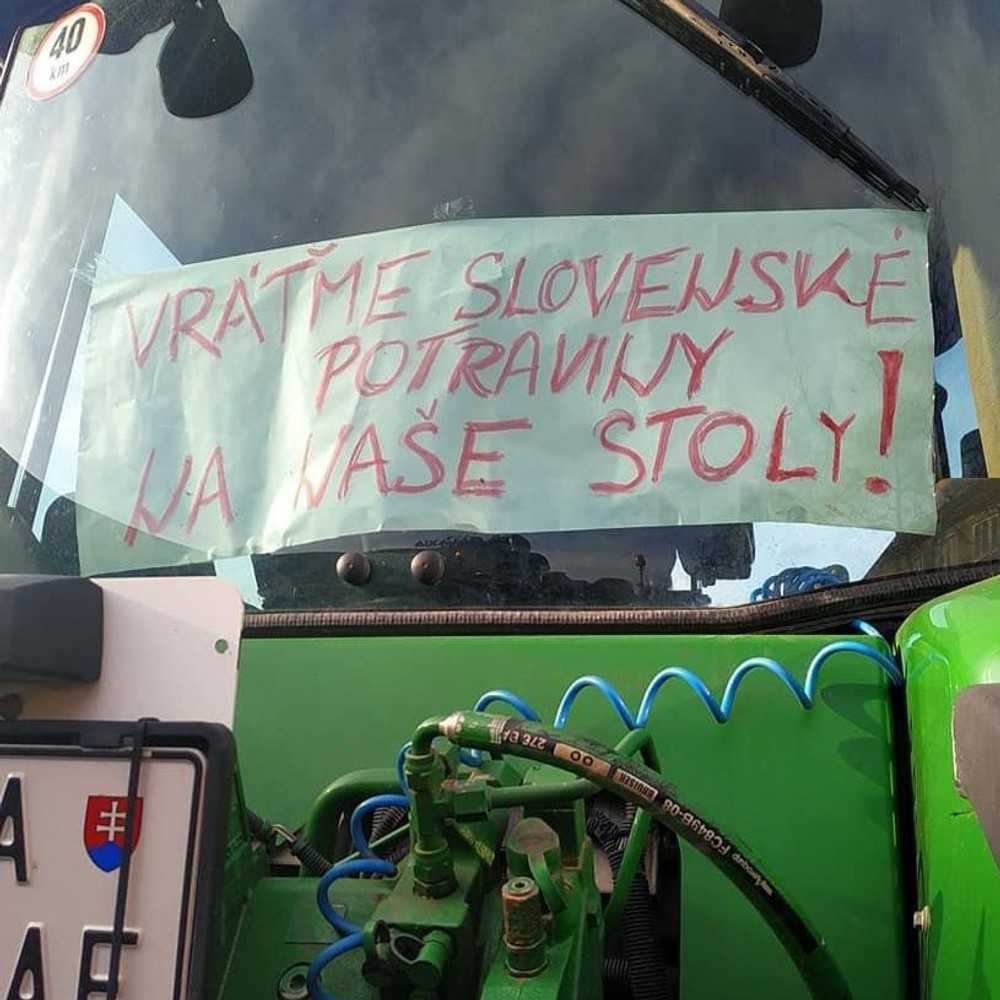 WhatsApp Image 2024-02-22 at 12.33.19 (2)