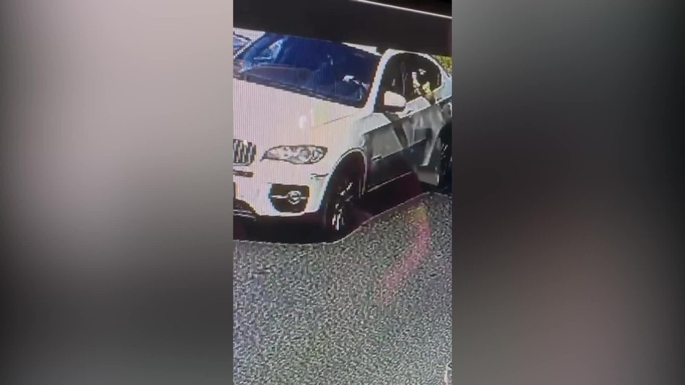 [multi] 053124DSZ 15586