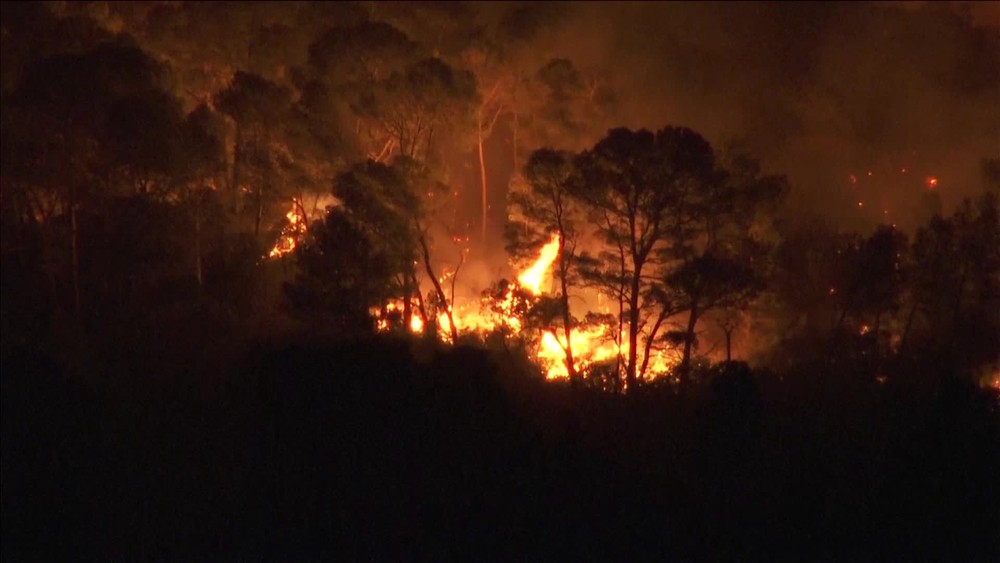 [multi] 080725SNP 1151