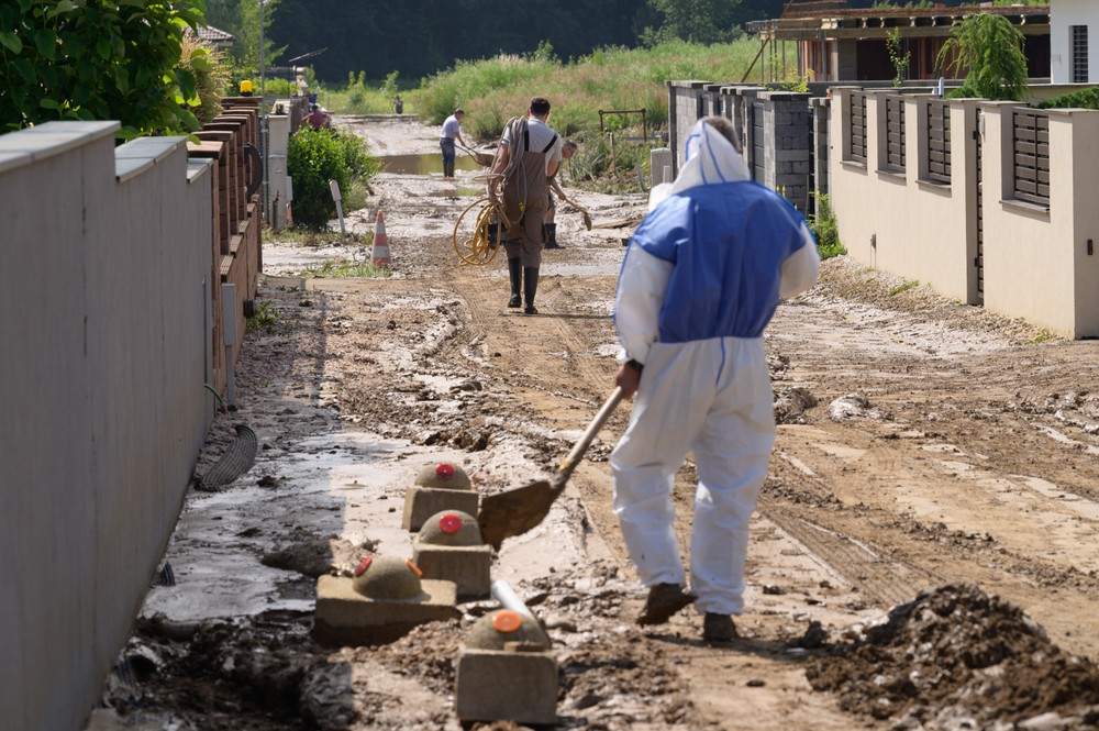 bltpvdnnr110624nr2049751