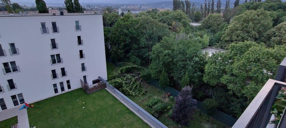 vietor v noci lámal stromy