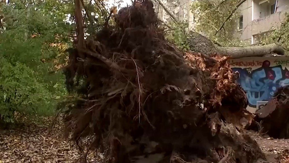 Vietor vyvracal stromy