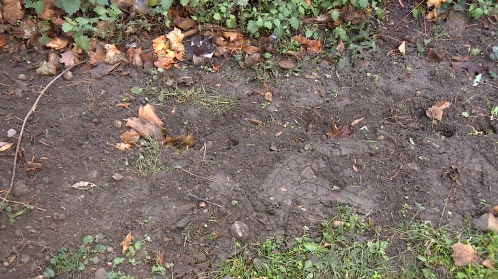 V Bratislave našli bezvládne telo muža. Okolnosti smrti zostávajú záhadou