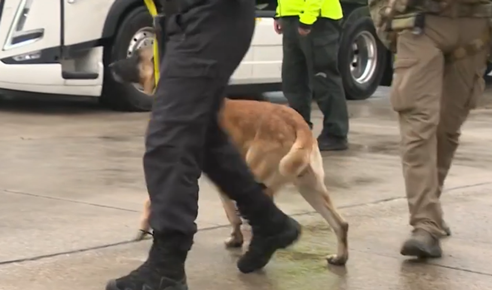 Policajné kontroly kamiónov 4