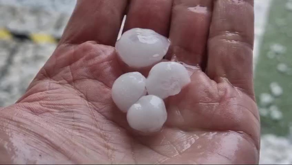 [multi] Krúpy_košice 18437