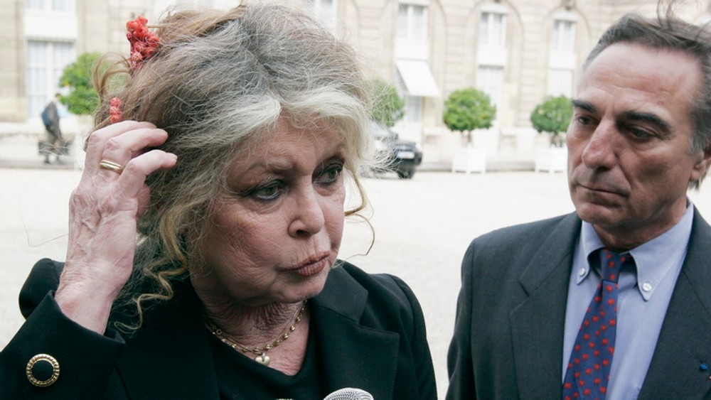 Bardot mikrofony a muz