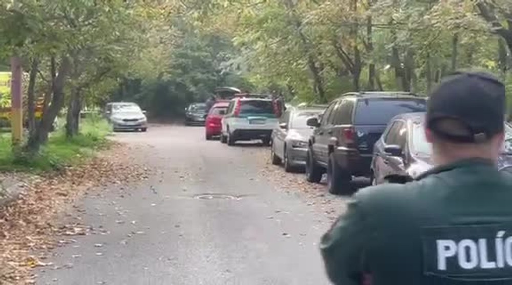 [multi] Páchateľ v kríkoch 16725