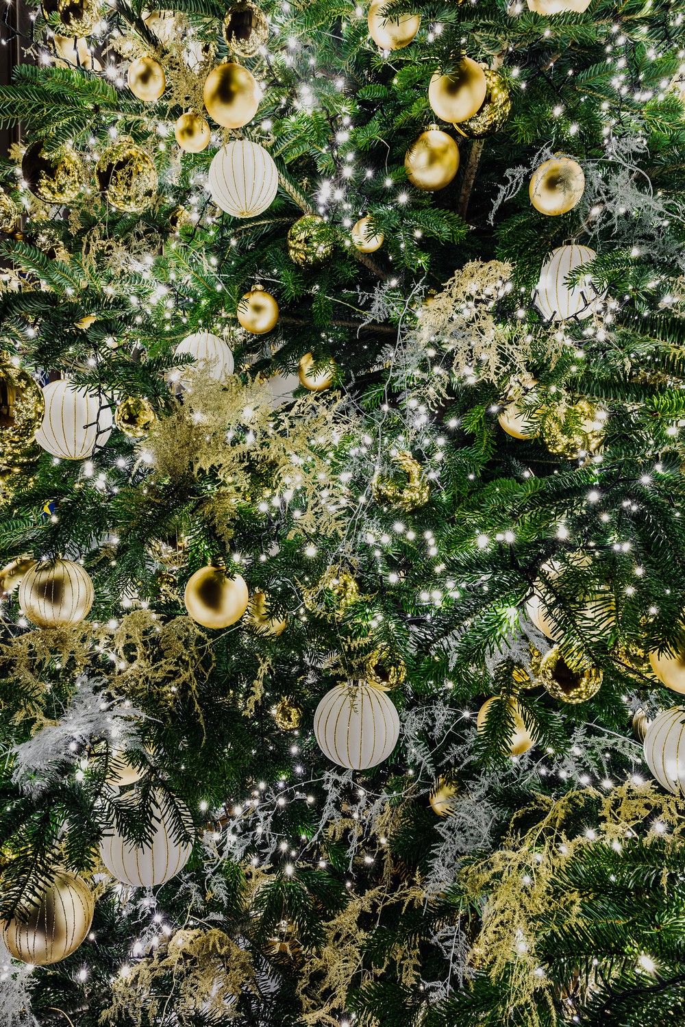 69453725ed147662727498