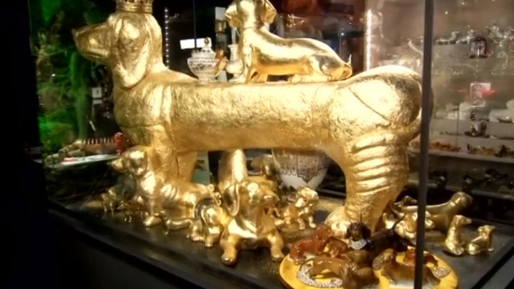 Múzeum jazvečíkov 