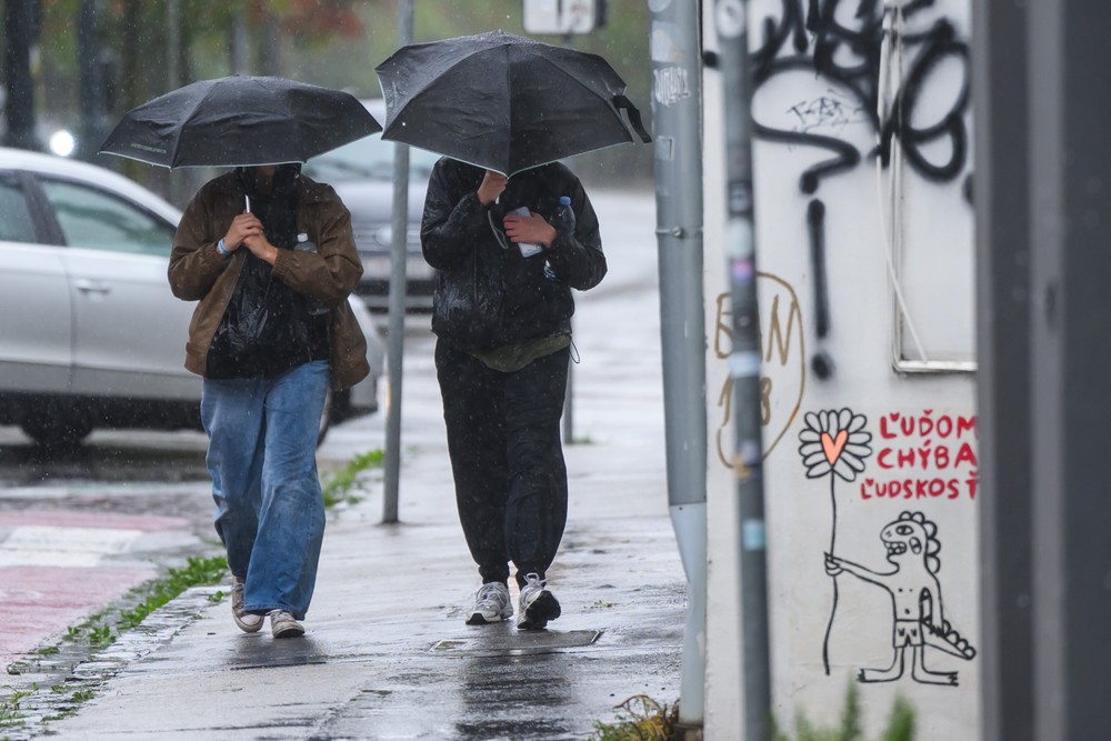 20241409_dazd_ba_11072102