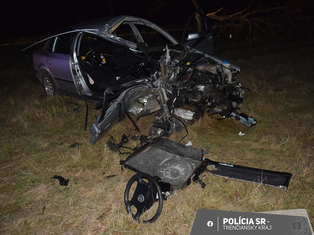 Vodič narazil do stromu