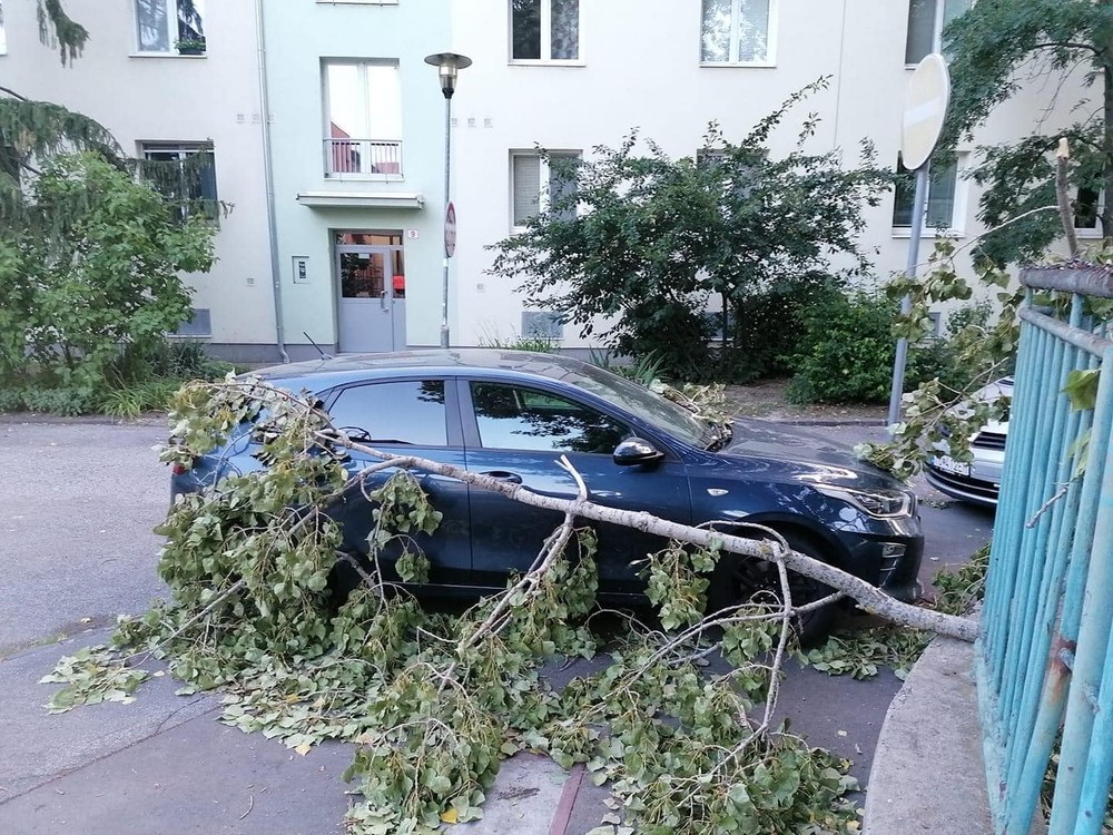 V noci popadali stromy