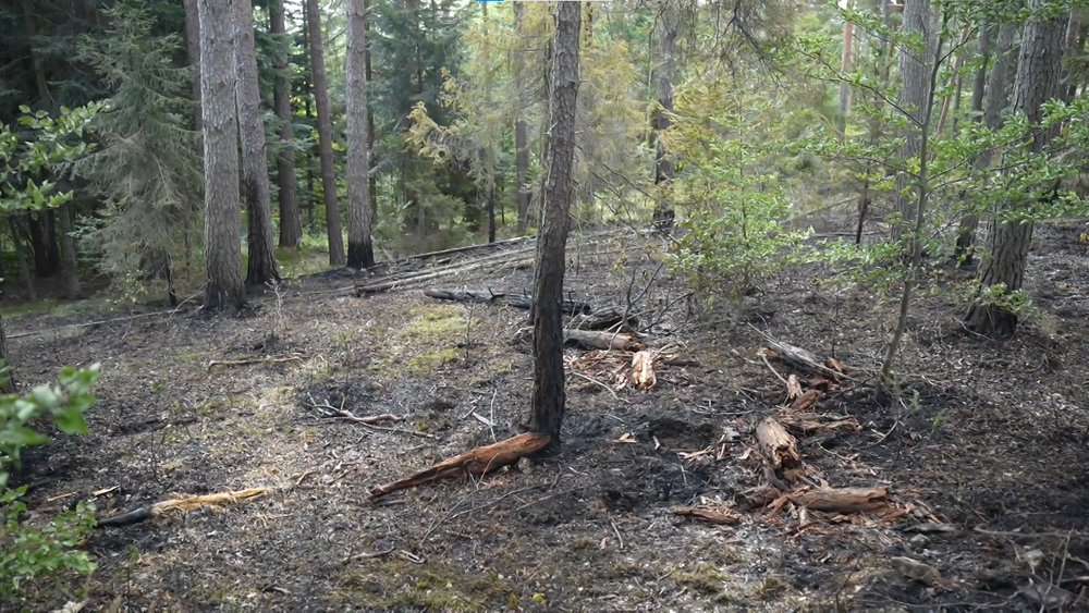 Požiar v Slovenskom raji