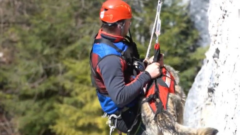 Záchranári, psy a technika v teréne