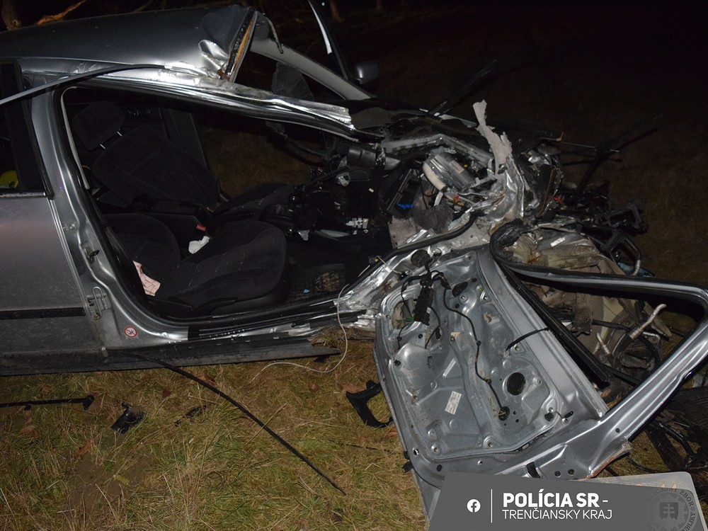 Vodič narazil do stromu