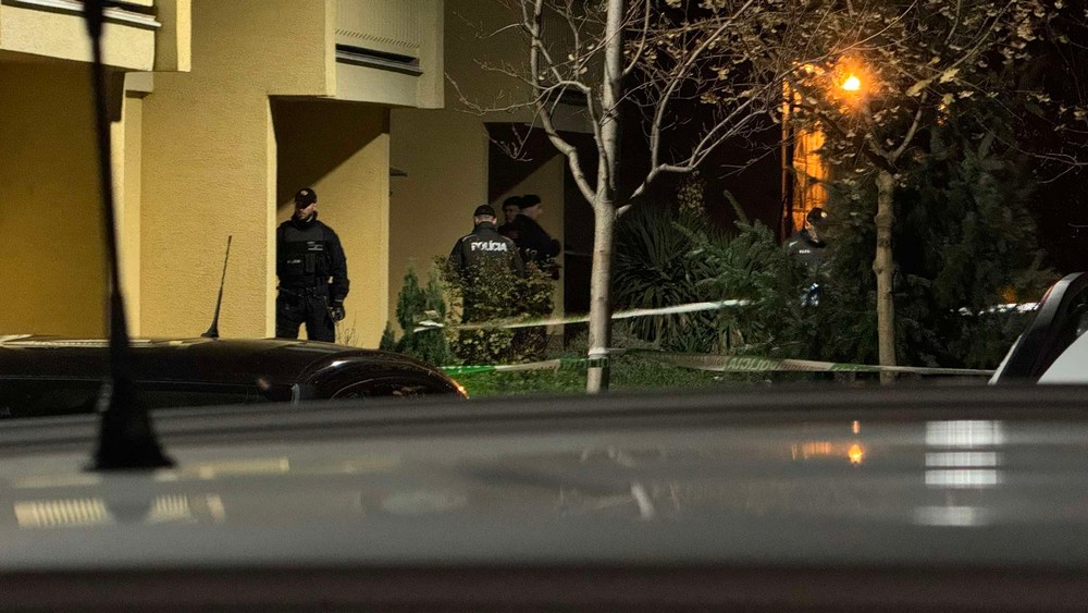 Polícia na mieste činu 2