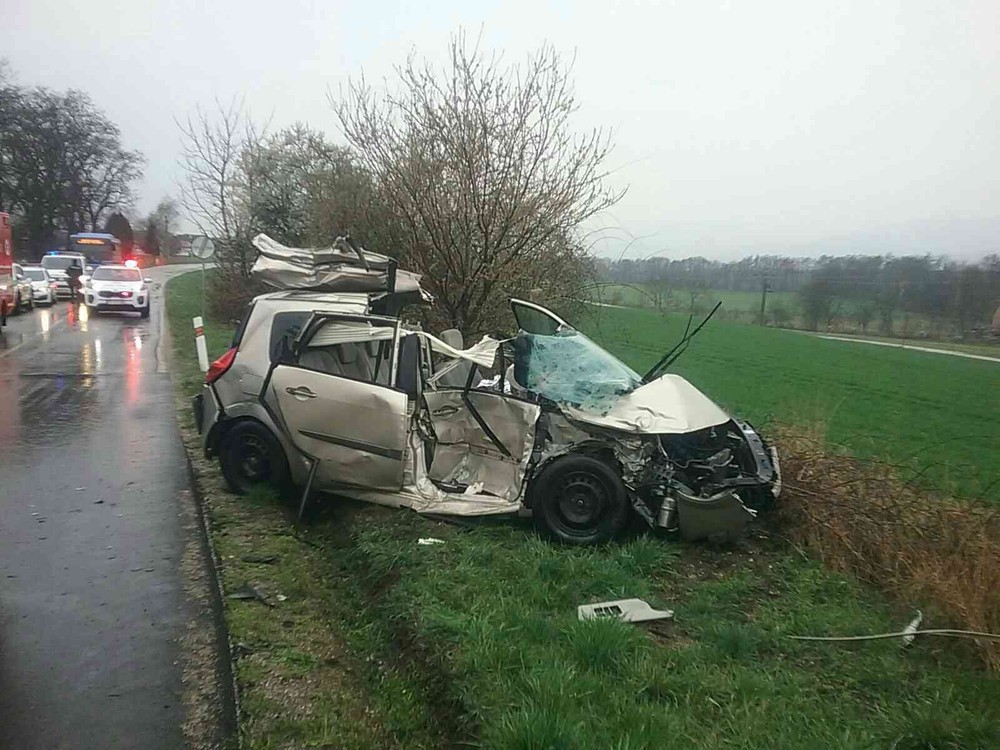 339121262_596022832577067_1483558028168204098_n