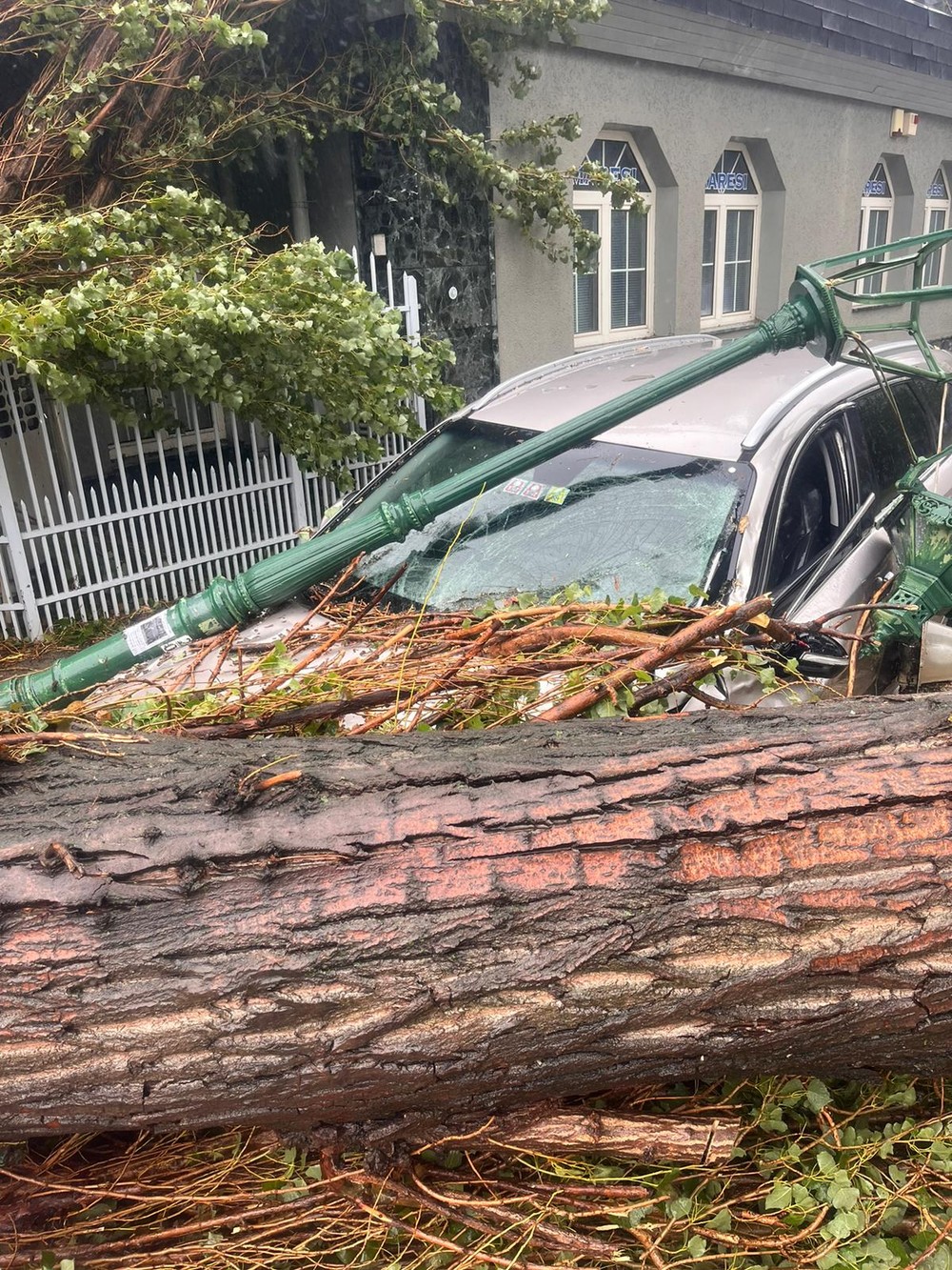 WhatsApp Image 2024-09-15 at 10.55.41