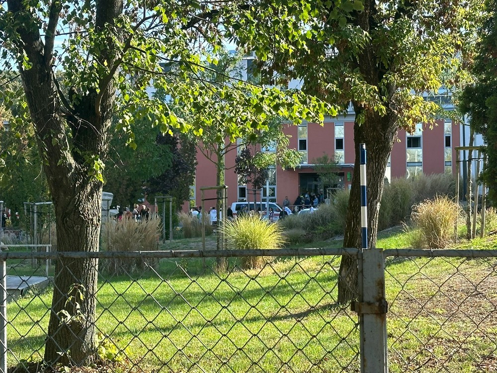 WhatsApp Image 2024-09-19 at 09.55.08 (1)