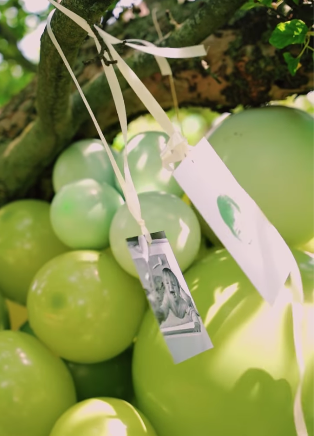 Dominika Cibulková - oslava Jakubkových 2. narodenín