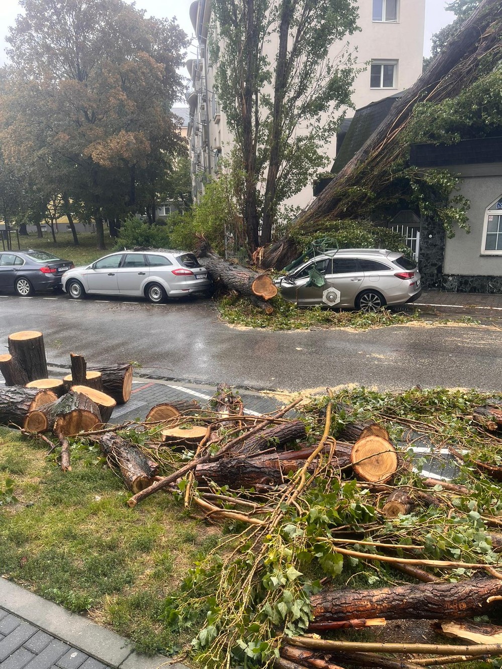 WhatsApp Image 2024-09-15 at 10.55.40