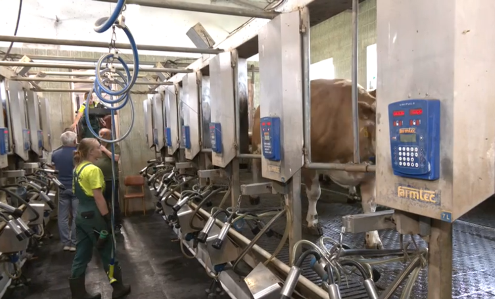 Screenshot 2024-05-19 092226