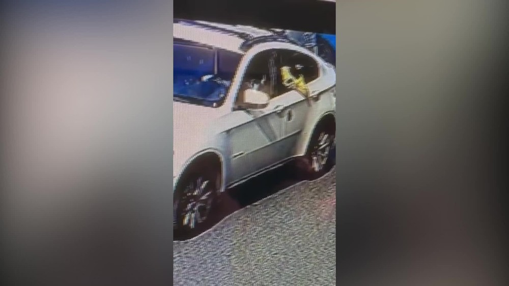 [multi] 053124DSZ 15582