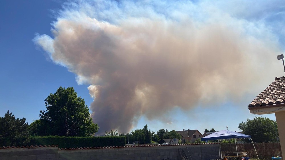 WhatsApp Image 2023-07-15 at 15.06.42