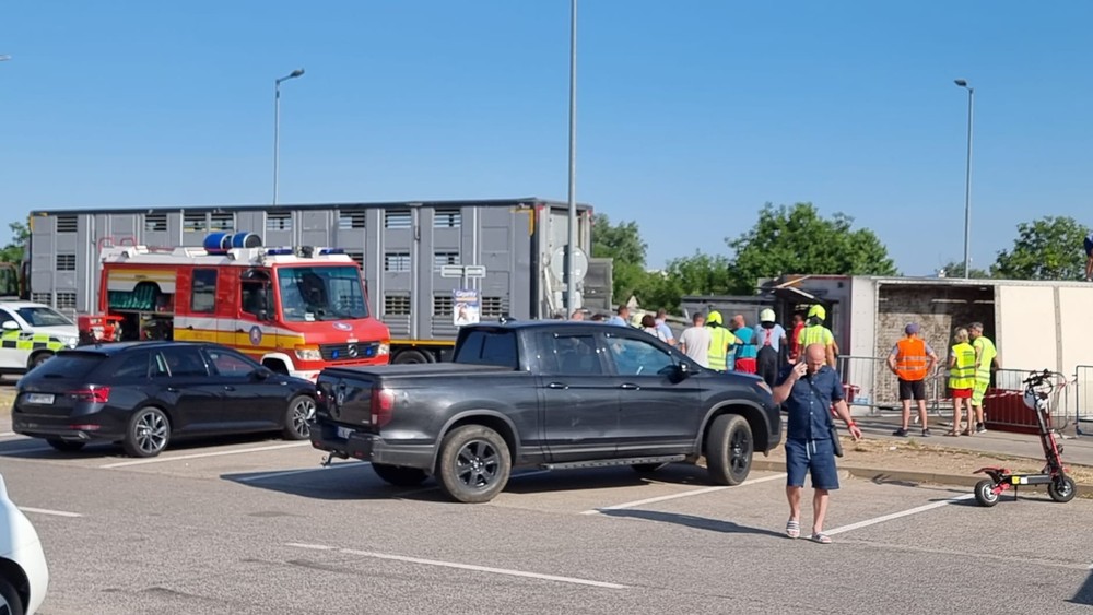 WhatsApp Image 2023-07-20 at 08.38.20