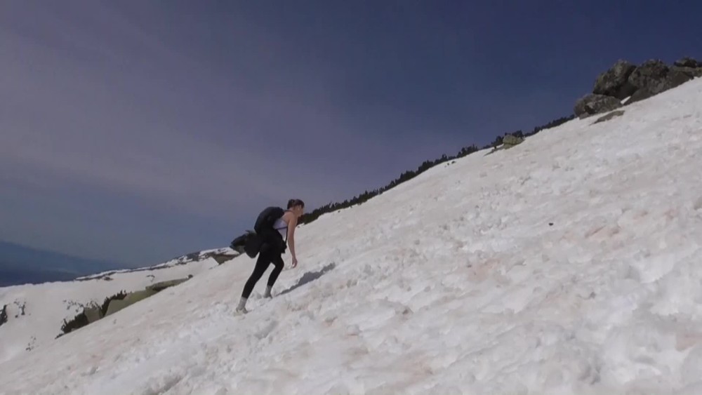 [multi] 041724FZR 1275