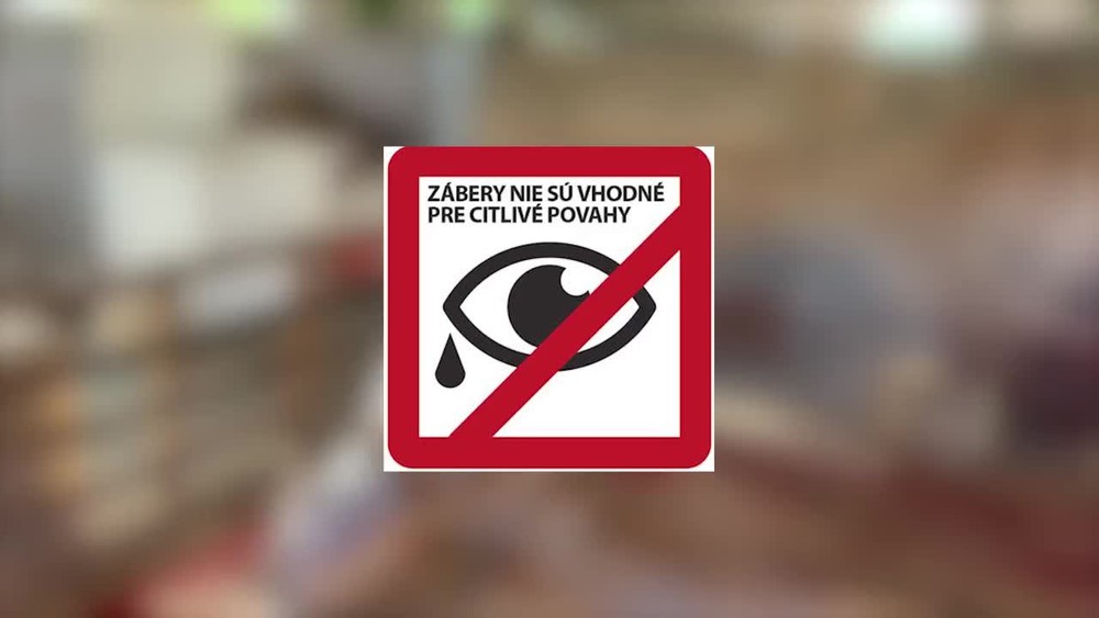 [multi] Psie zápasy 14041