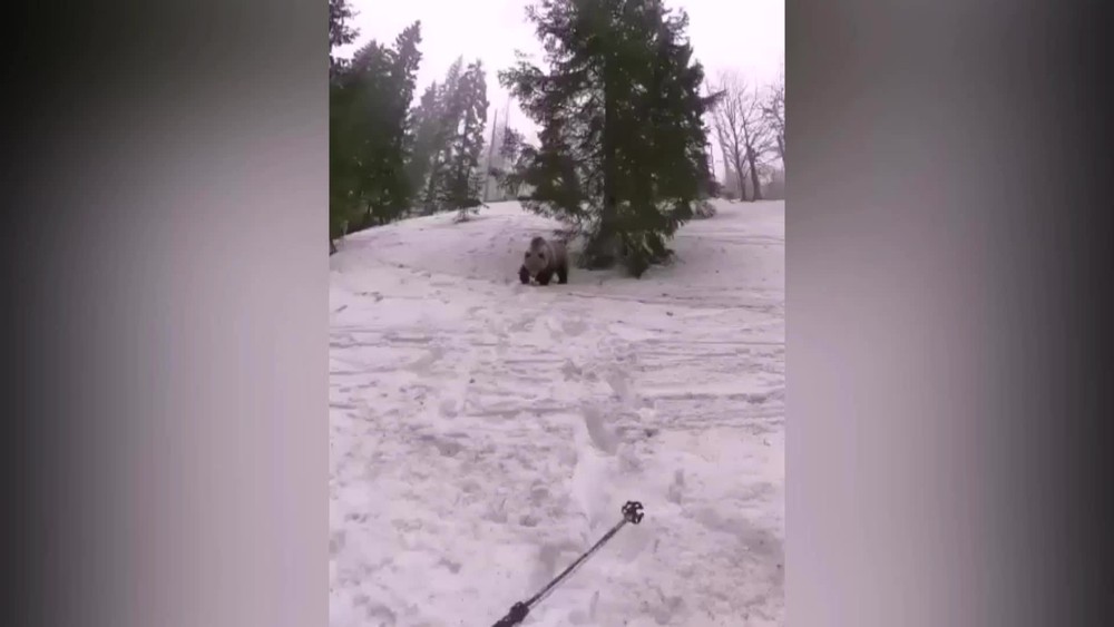 [multi] medved napadol turistov 3567