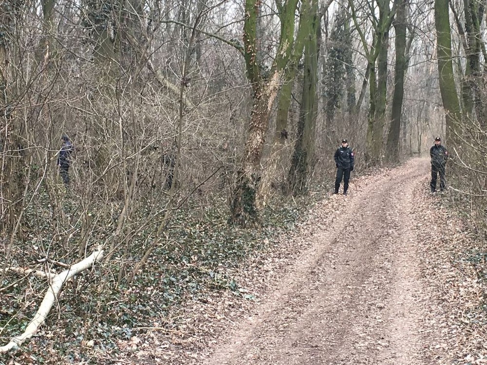 Polícia v lese vo Veľkej Mači 
