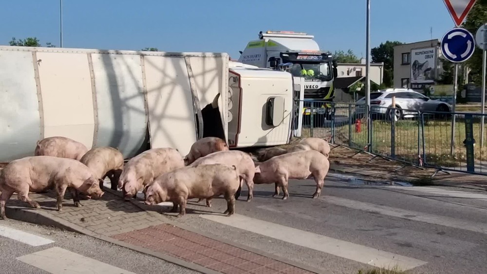 [multi] Prevrátený kamión 2186